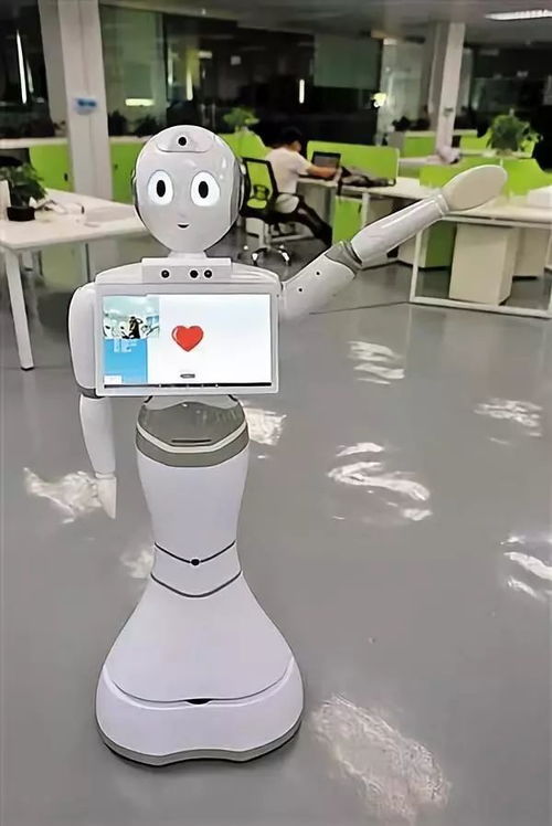 產(chǎn)品與技術(shù)服務(wù)驅(qū)動(dòng) 機(jī)器人在多場(chǎng)景的落地應(yīng)用