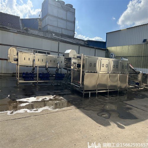 一站式解決大姜生產(chǎn)難題，選擇瑞糧食品工業(yè)裝備大姜清洗機(jī)